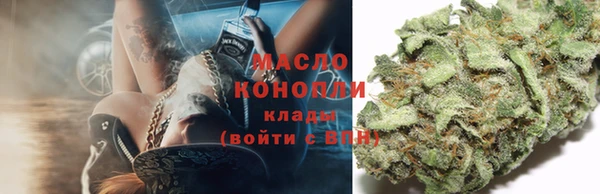 дмт Арсеньев