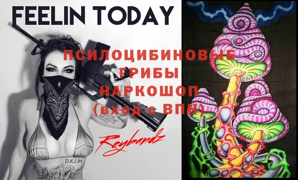 дмт Арсеньев