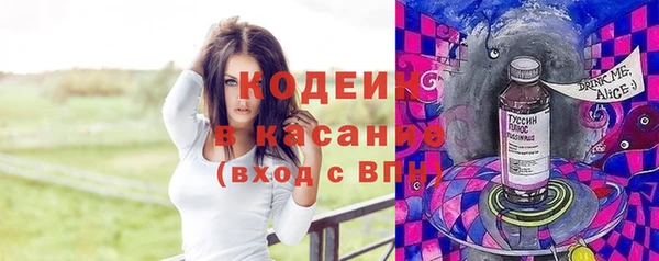 дмт Арсеньев